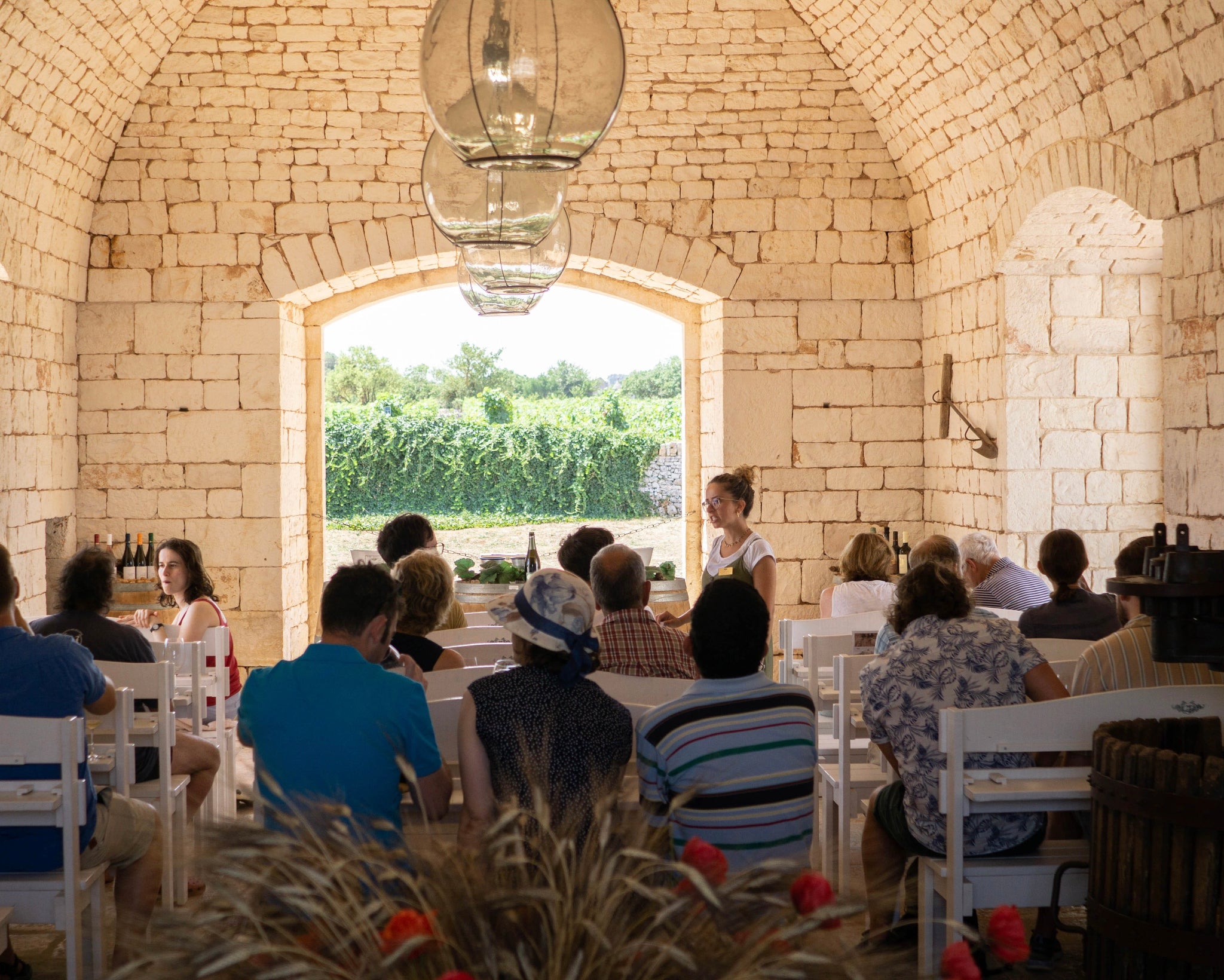 Luxury Wine Tour in Valle d’Itria - Degustazione vini pugliesi e prodotti tipici-2