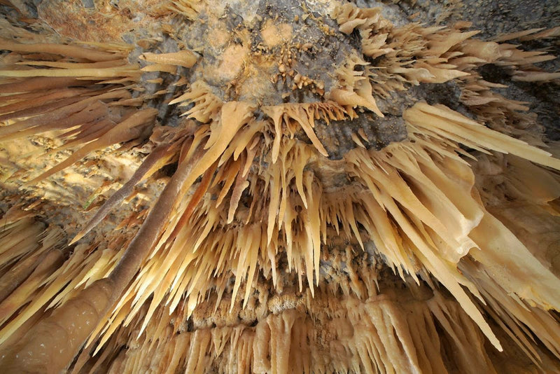 Tour Cuevas de Castellana
