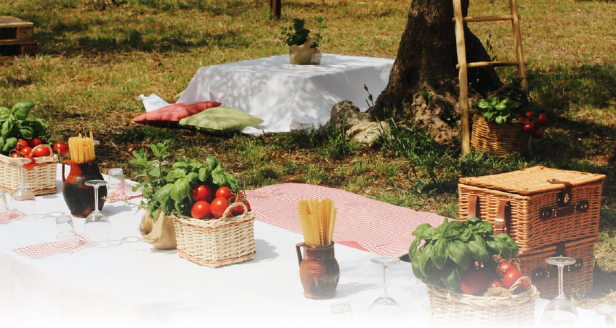 Picnic all'ombra degli ulivi con Pugliamare