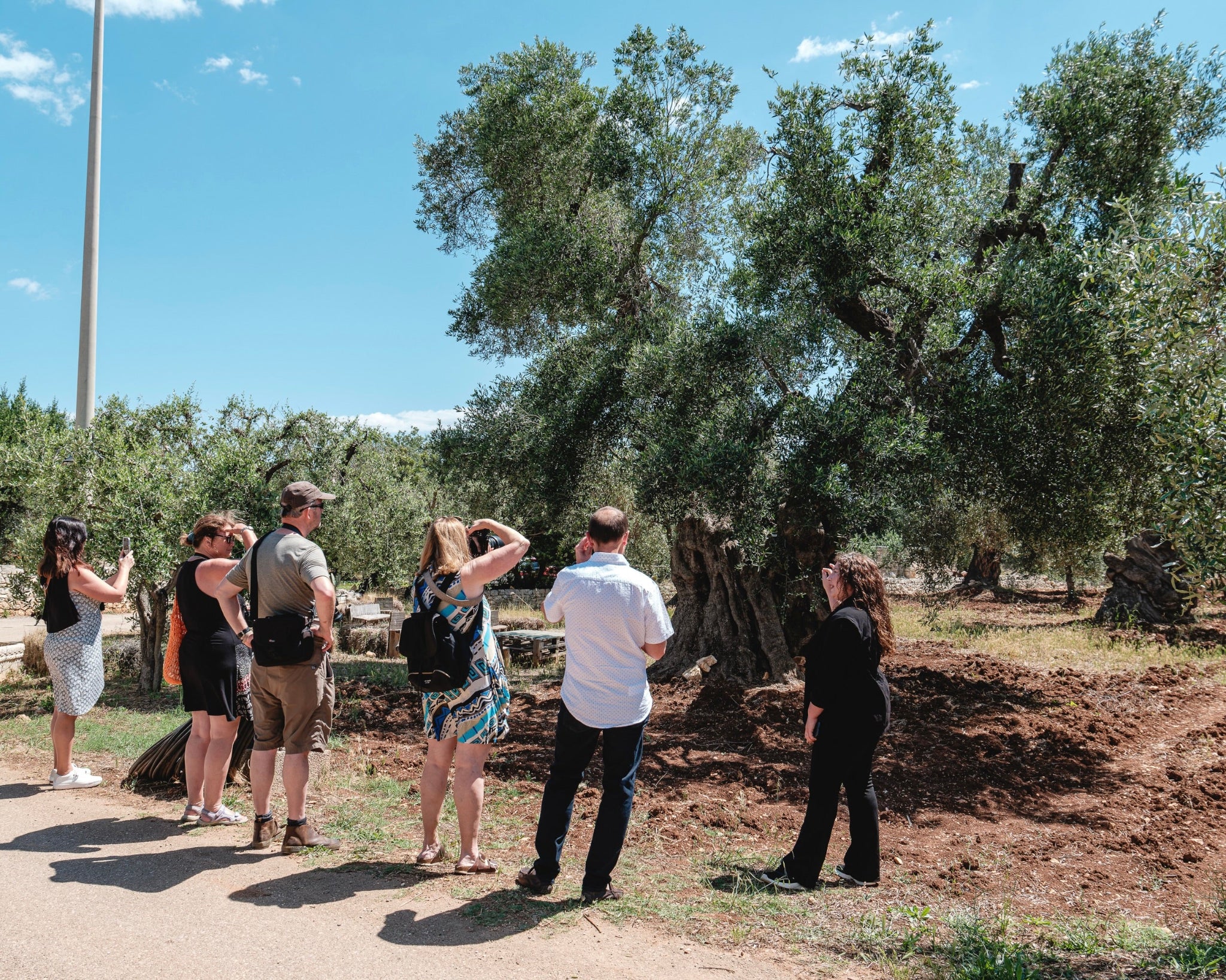 Degustazione Olio Extravergine di Oliva in Masseria in Puglia-3