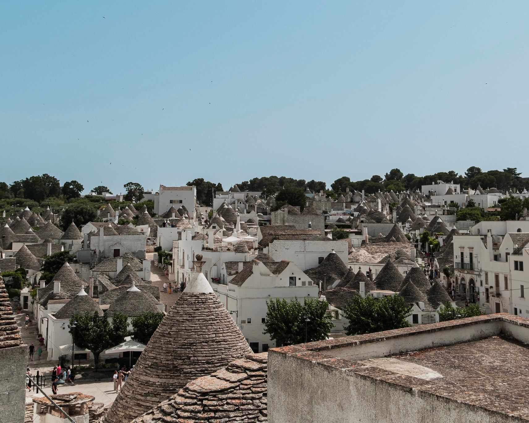 Visita guidata di Alberobello - Tour di mezza giornata-0