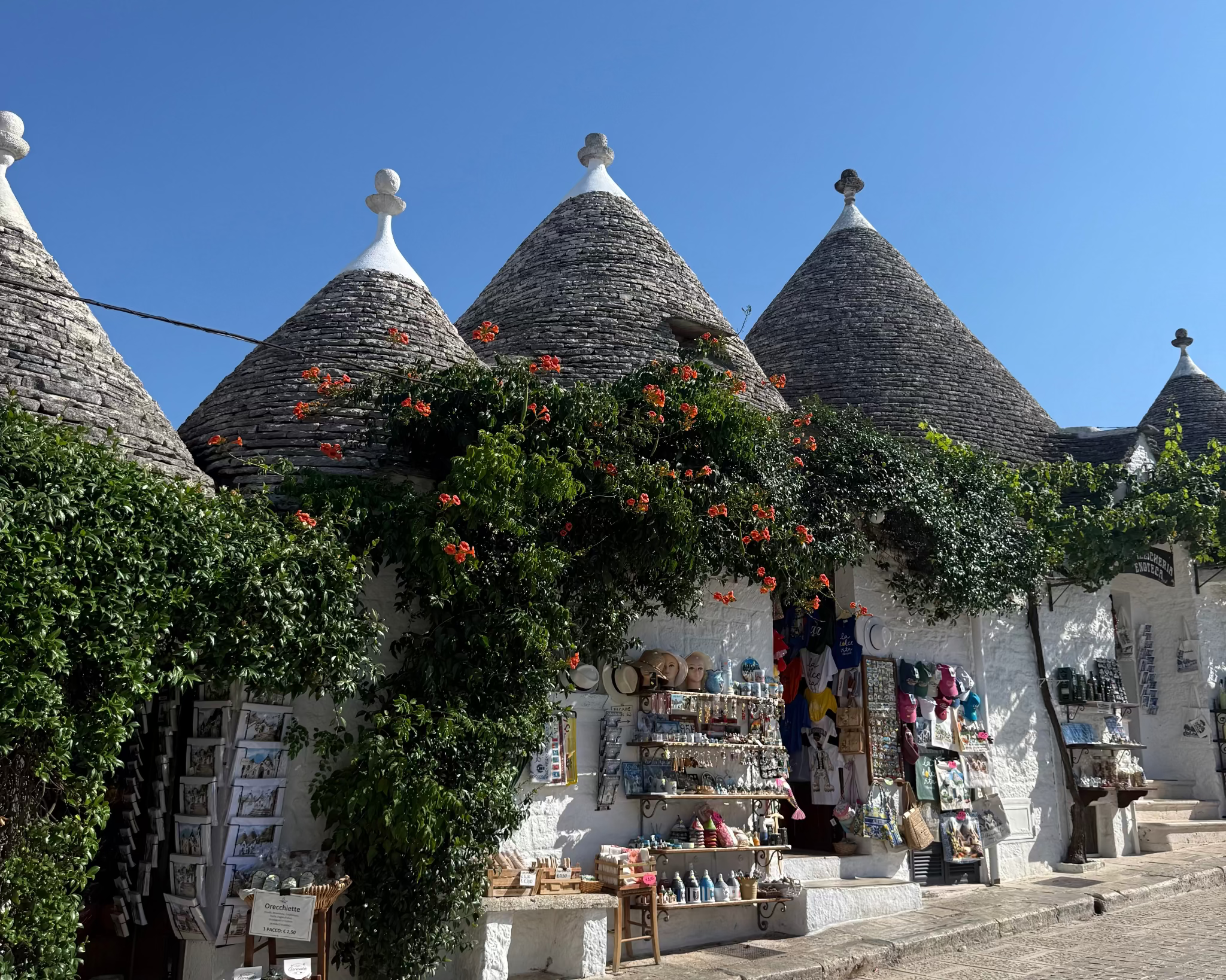 Tour Unesco – Visita guiada de Matera y Alberobello-12