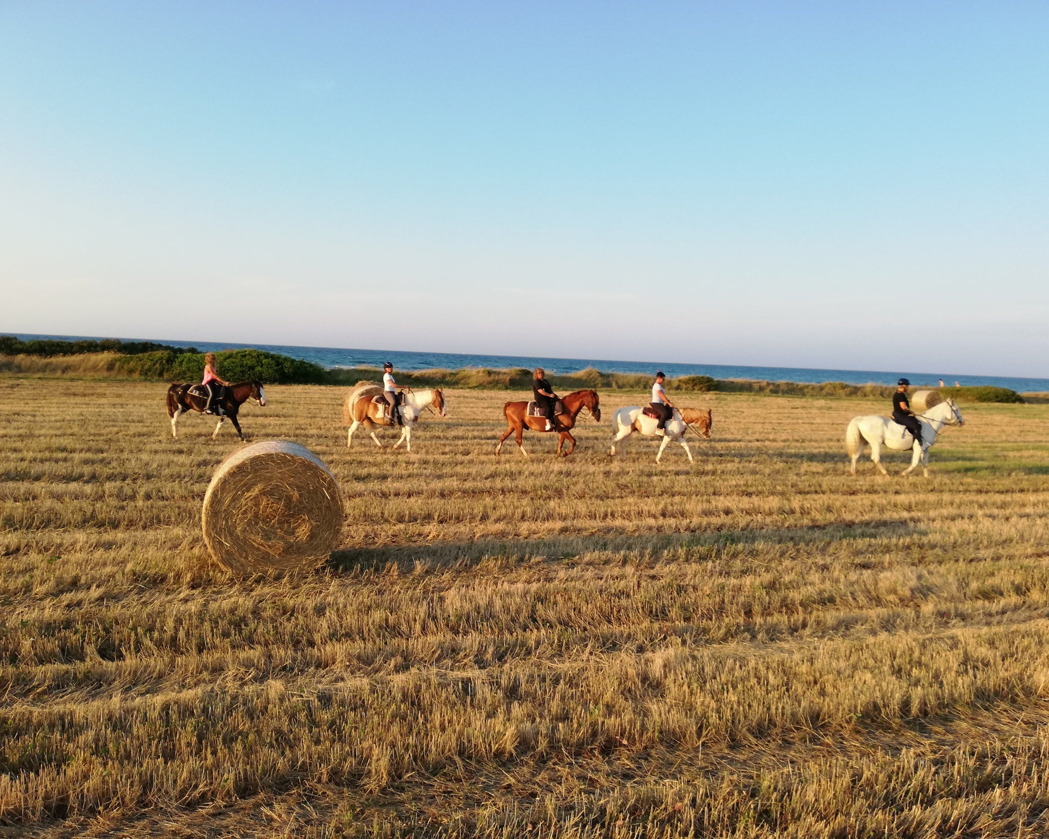 Passeggiata a Cavallo tra campagna e mare in Puglia-4
