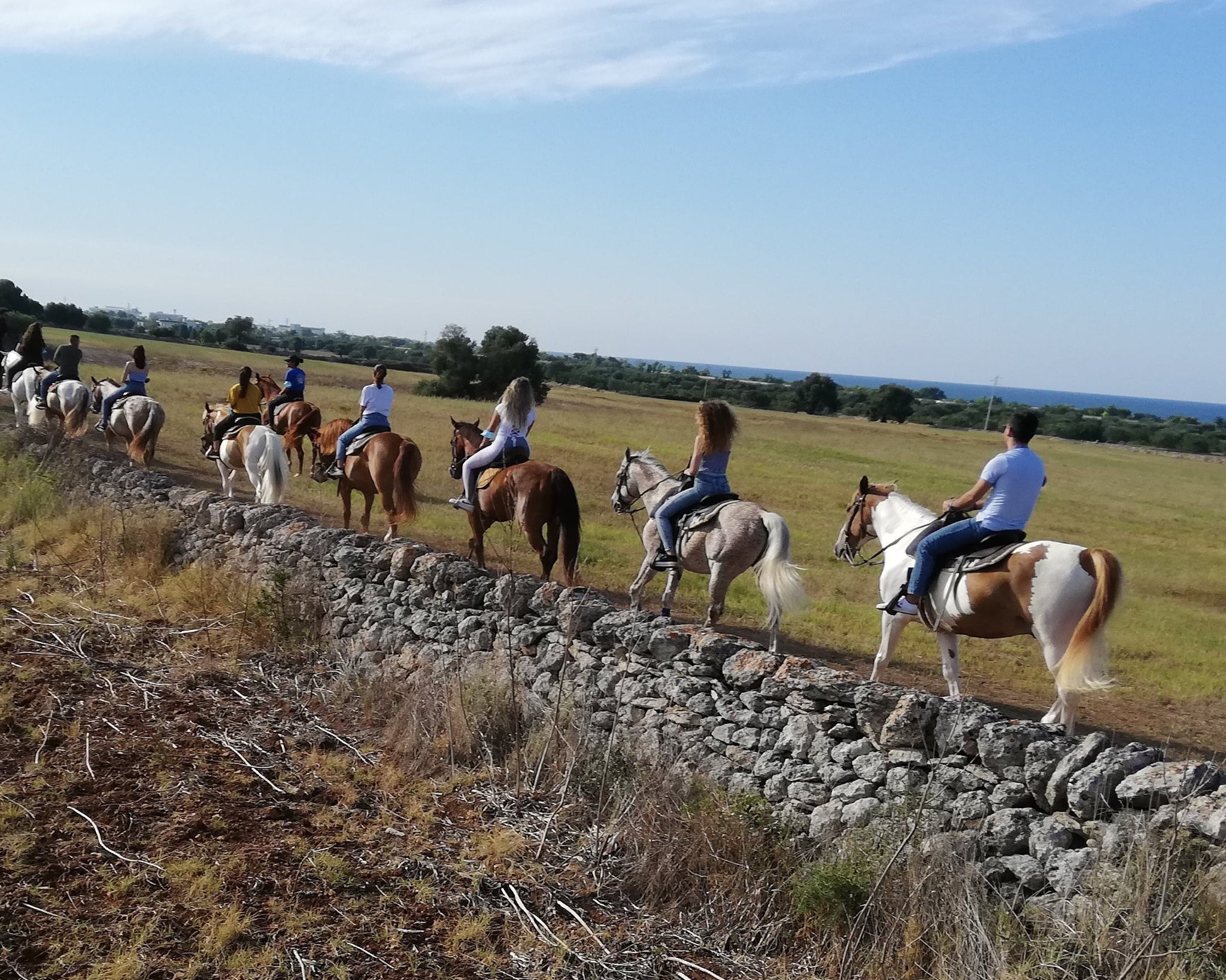 Passeggiata a Cavallo tra campagna e mare in Puglia-2