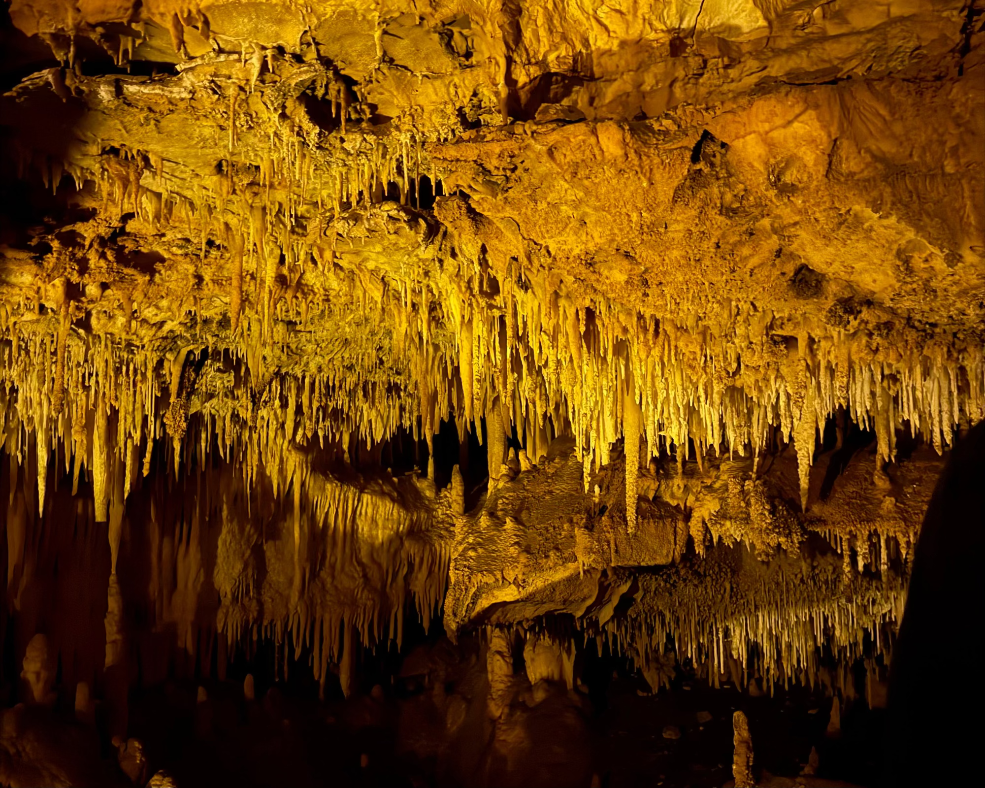 Da Bari: Tour delle Grotte tra Terra e Mare (Castellana Grotte e Polignano)-8
