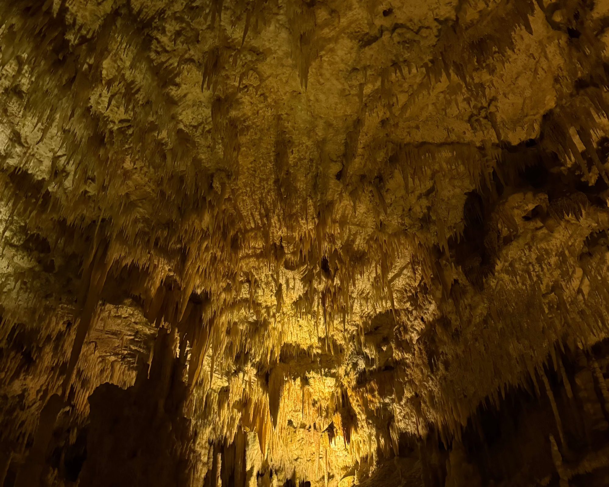 Da Polignano: Tour delle Grotte di Castellana-3