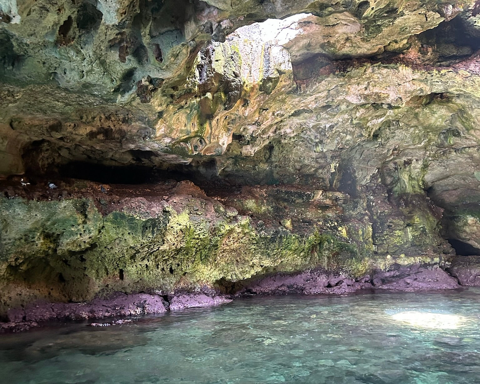 Da Bari: Tour delle Grotte tra Terra e Mare (Castellana Grotte e Polignano)-5