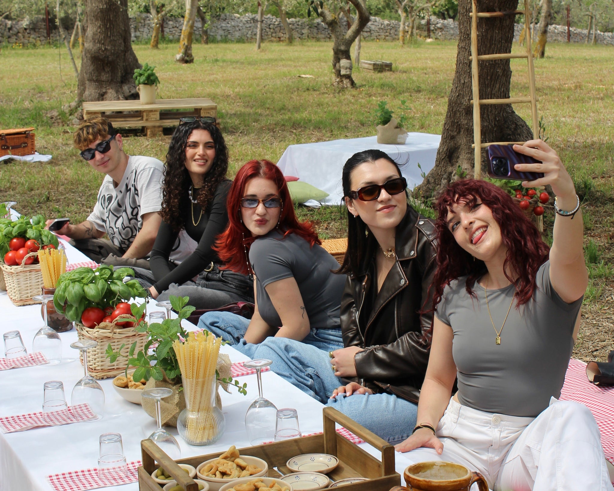 Picnic en el campo de Conversano – Degustación de productos típicos y vino local-5