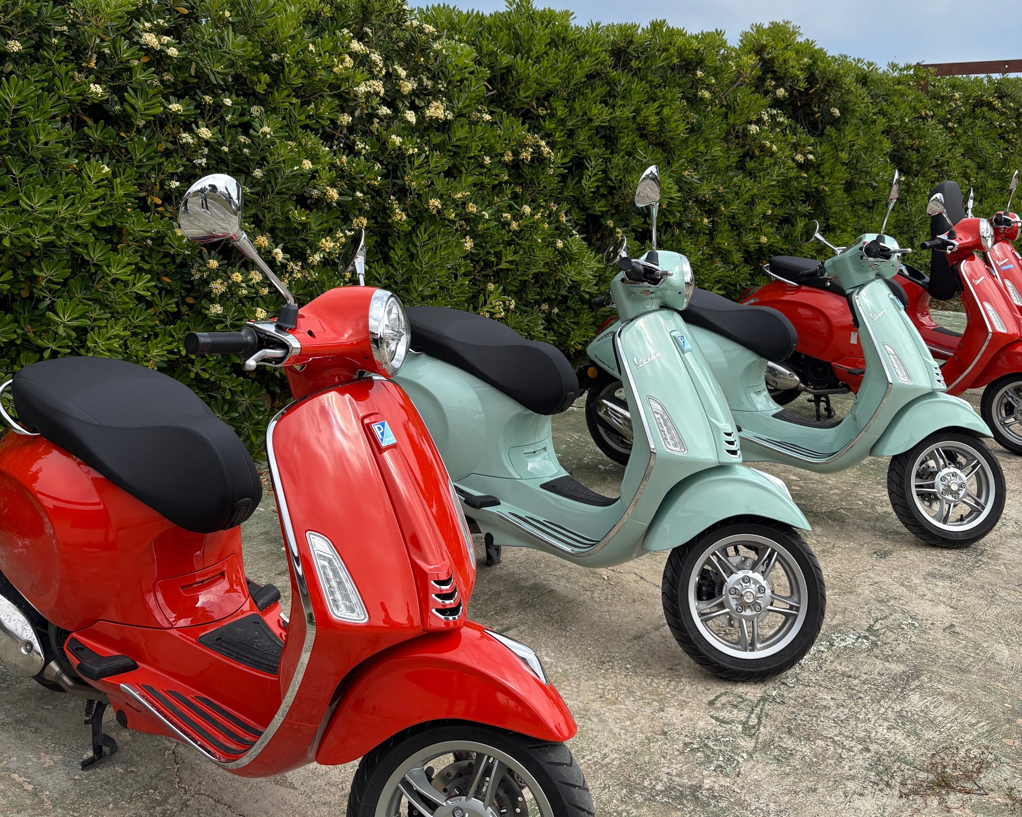Da Monopoli: Tour in Vespa della Valle d'Itria - Alberobello Locorotondo e degustazioni-2