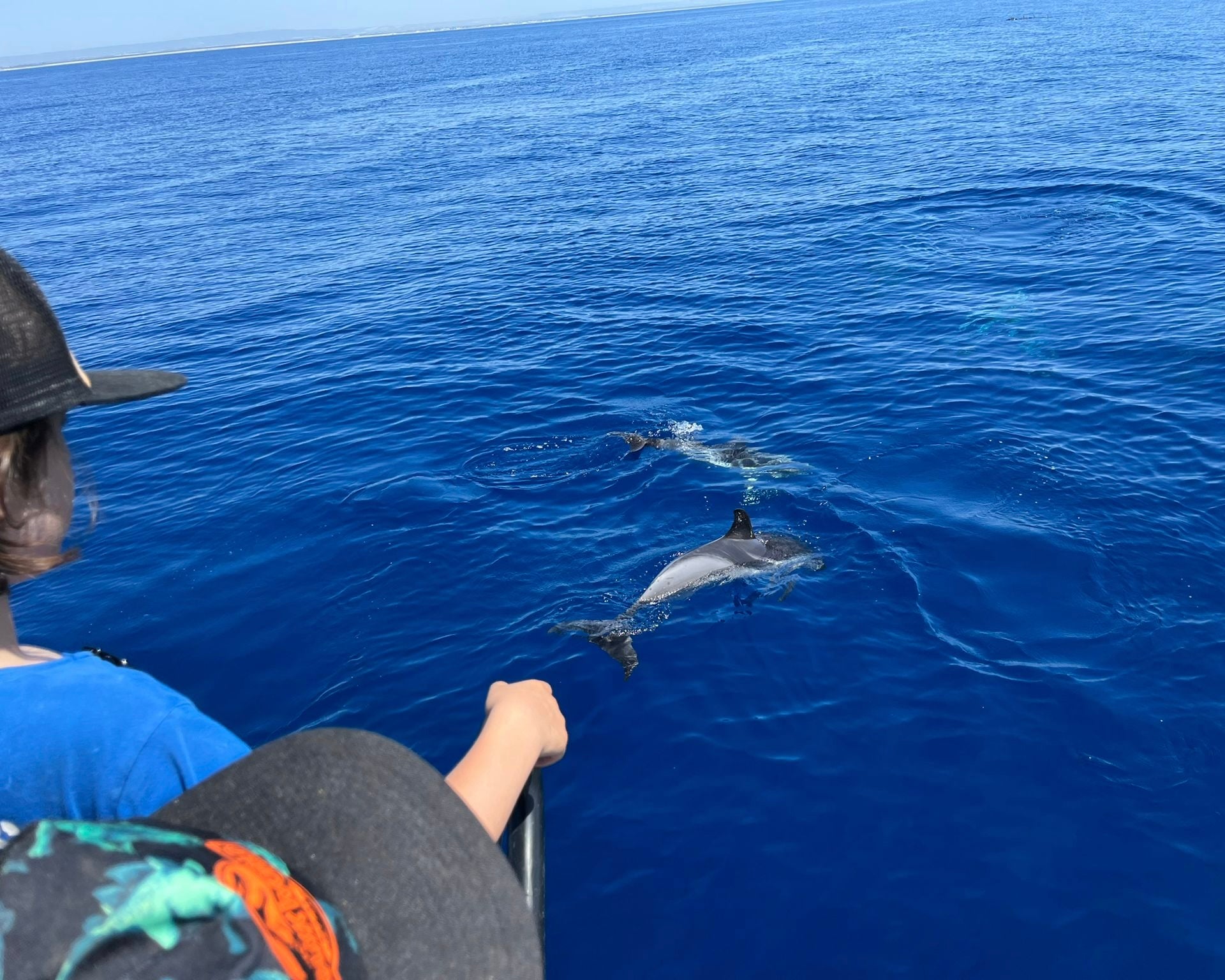 Tour in barca tra i delfini a Taranto -  Avventura nel Golfo dello Jonio-3