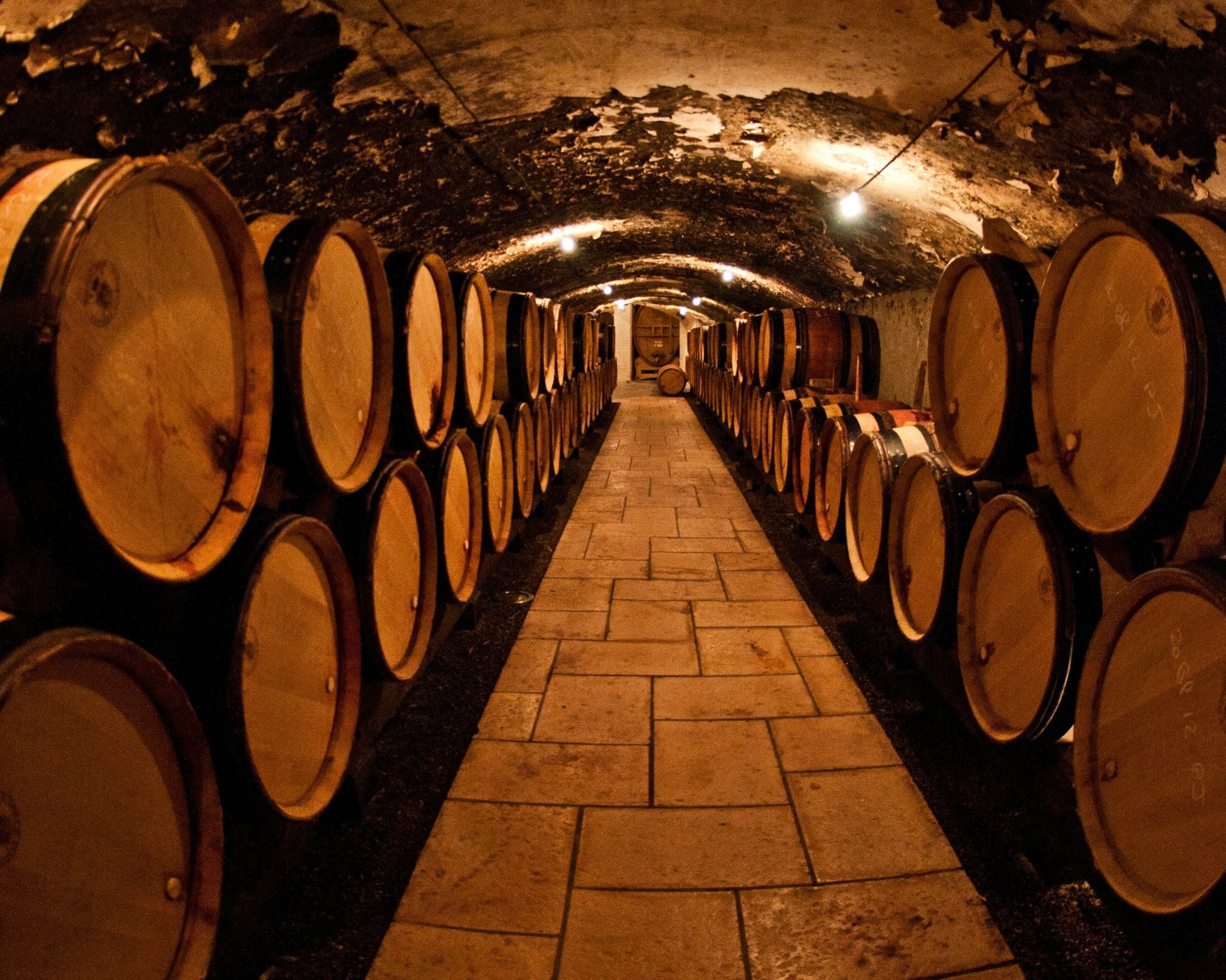 Luxury Wine Tour in Valle d’Itria - Degustazione vini pugliesi e prodotti tipici-1