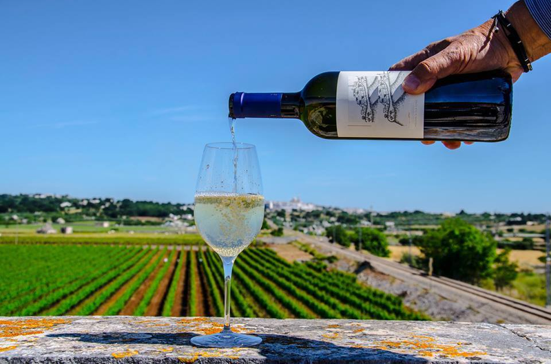 Degustazione di vino e visita in cantina in Valle d’Itria