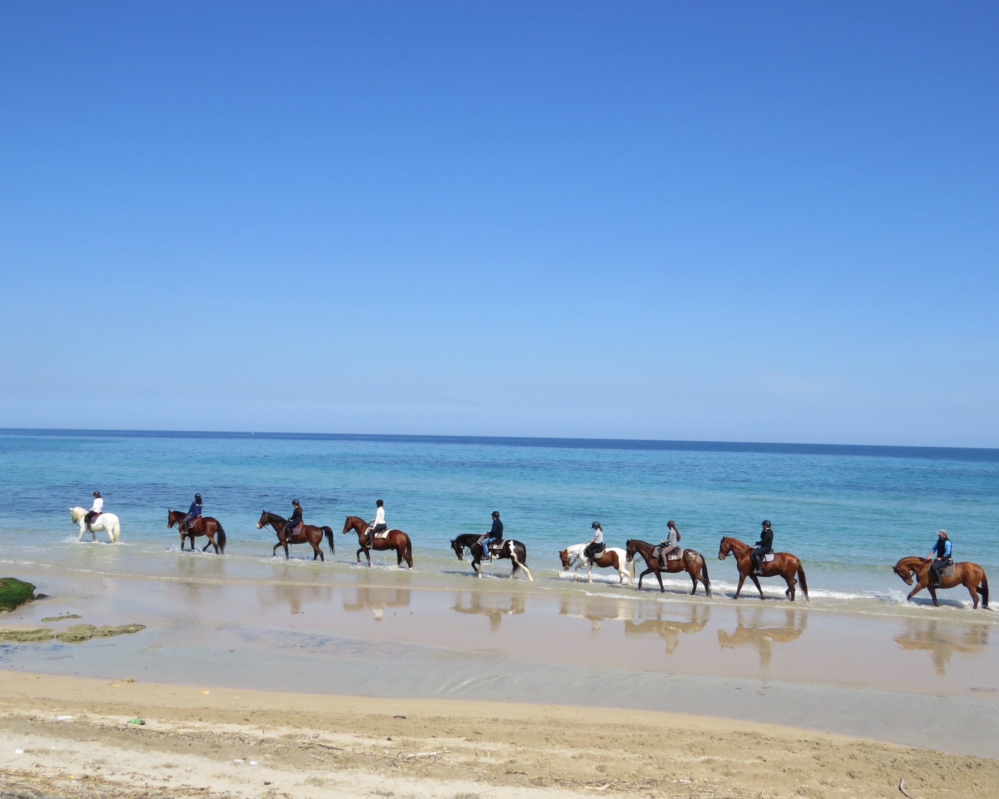 Passeggiata a Cavallo tra campagna e mare in Puglia-1