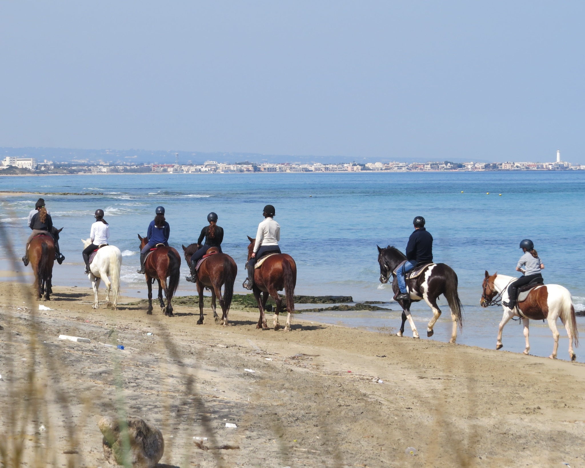 Passeggiata a Cavallo tra campagna e mare in Puglia