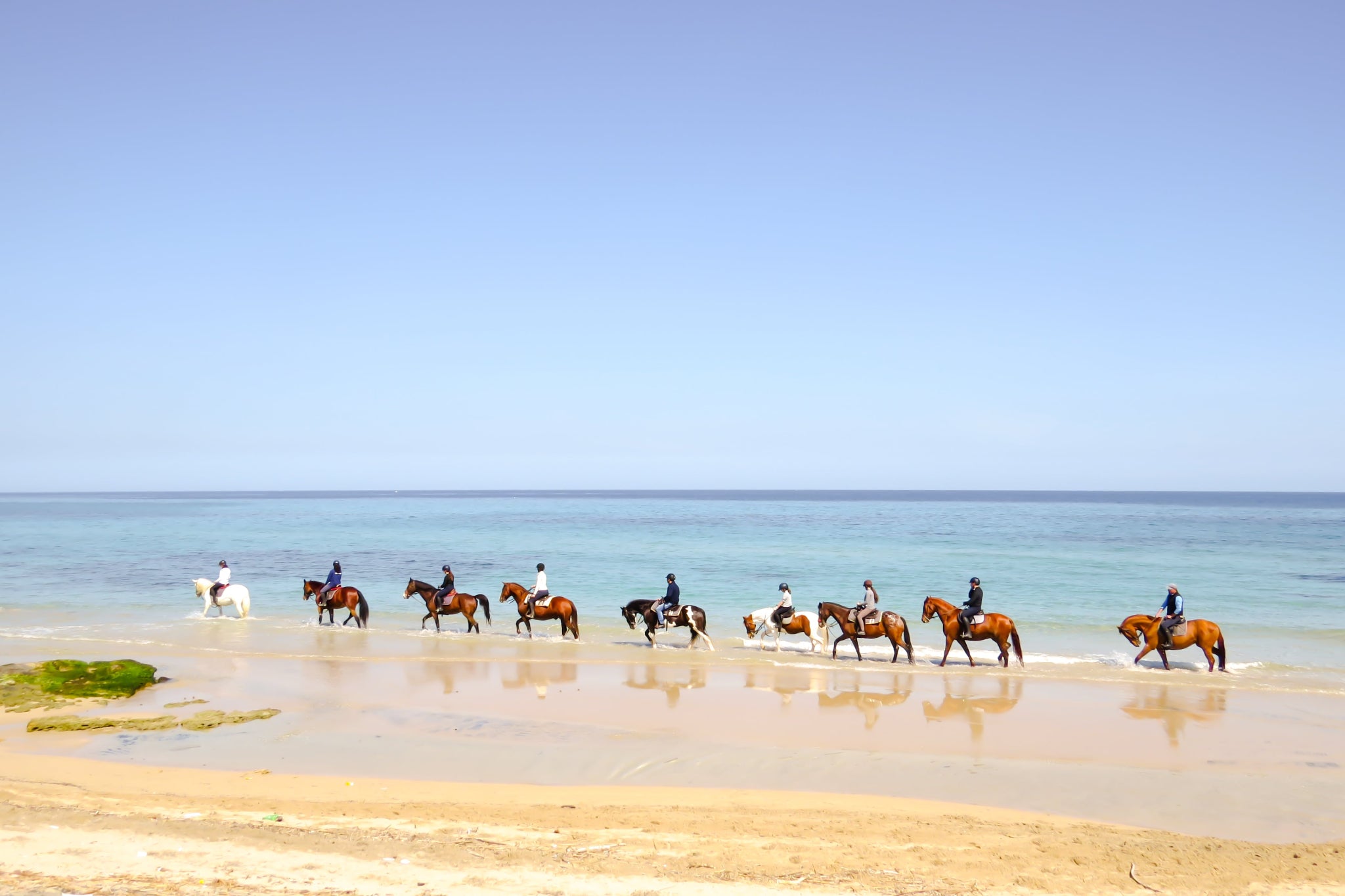 Horse-back Riding Along the Ionian Coast-0