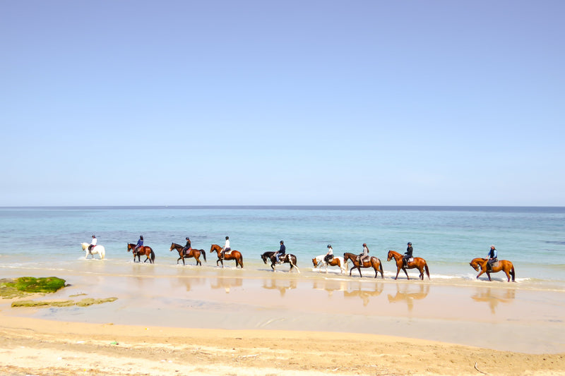 Passeggiata a cavallo sulla costa jonica