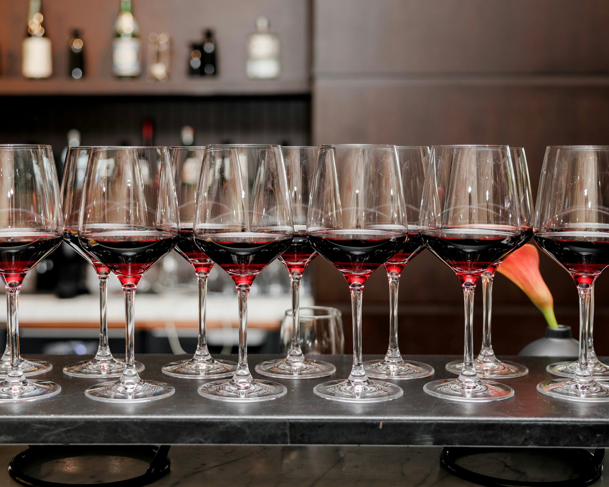 Luxury Wine Tour in Valle d’Itria - Degustazione vini pugliesi e prodotti tipici-4